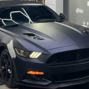 Premium Vinyl Wraps